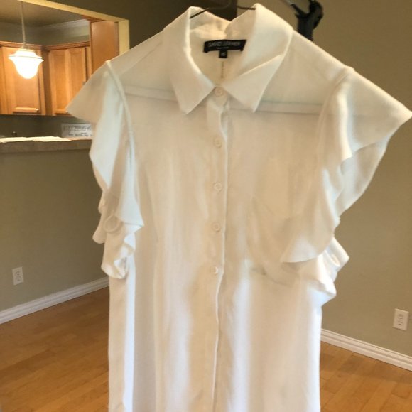 Sheer White David Lerner Ruffle Sleeve Button-Down - NWOT! - Picture 6 of 6
